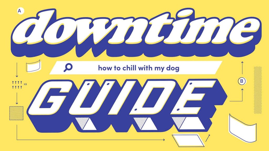 The Downtime Guide To: Hanging Out With Your Dog