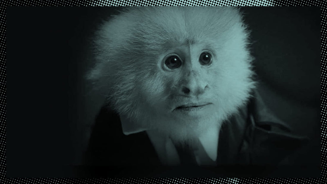 12 Satisfying Short Films For Your Burnt-Out Quarantine Brain