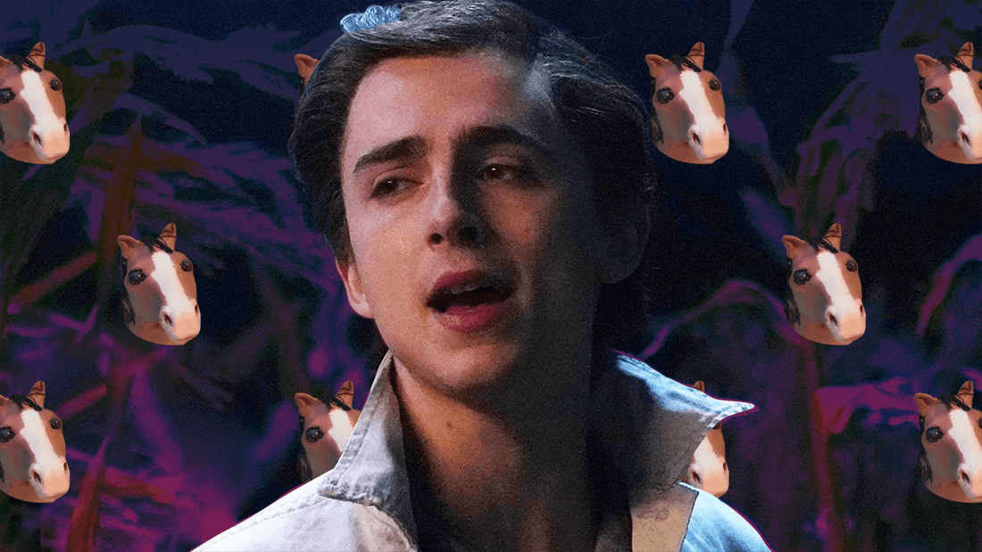 Big Love For Tiny Horse